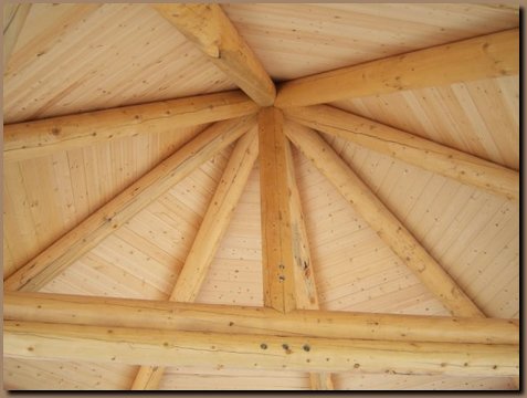 Interior Log Roof