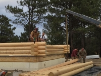 Logs Day 1 (9)