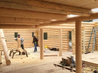 Logs Day 4 (5)
