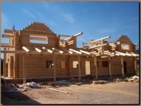 Log walls and Log porch rafters in place